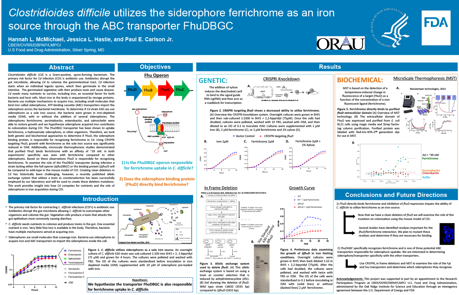 Preview image of the scientific poster. For more information, please refer to the abstract or download the PDF version of the poster.