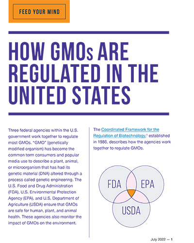 How GMOs Are Regulated