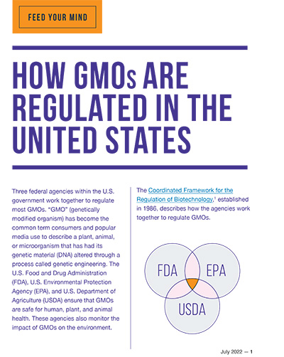 What are GM crops and how is it done?