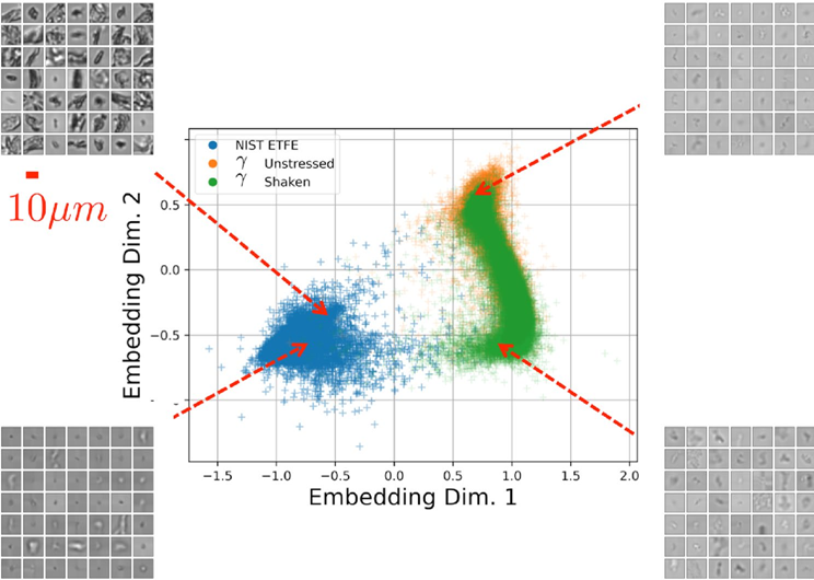 Figure 4. Fingerprint analysis of proteins (non-stressed and stressed protein formulation) and the ethylene tetrafluoroethylene (ETFE) protein surrogate is shown here.  The image is reproduced from (4) and in the legend “Shaken” is equivalent to “stressed”.  NIST ETFE is the standard undiluted stock of ETFE; “Unstressed” and “stressed” correspond to identical ¬globulin formulations that were unstressed and mechanically agitated, respectively. The collages shown on the side panels correspond to the nearest ≈ 50 particles from a selected class (stressed or unstressed protein or ETFE particles) corresponding to the embedding point indicated by the arrows.