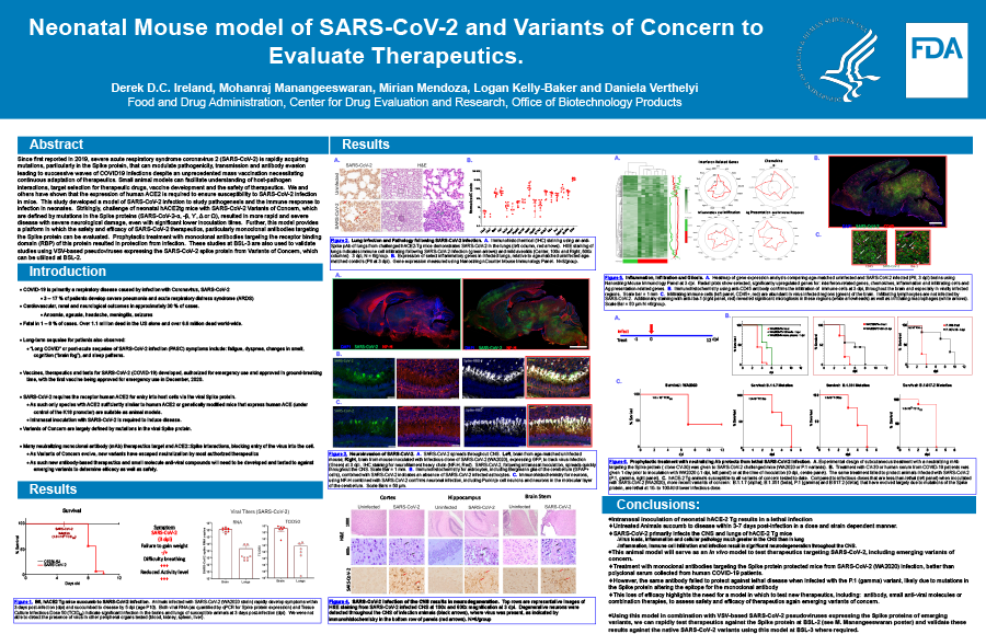 Neonatal Mouse model of SARS-CoV-2 and Variants of Concern to Evaluate Therapeutics