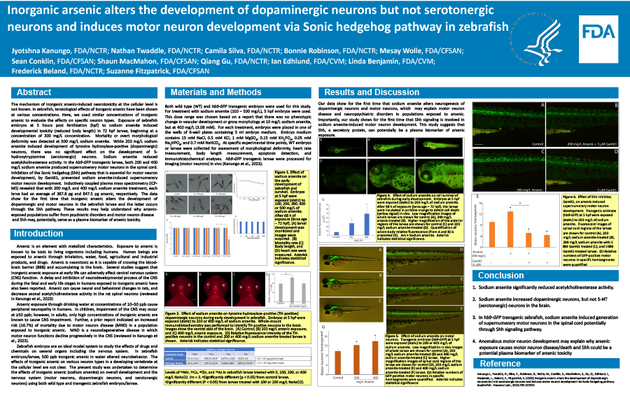 Inorganic arsenic alters the development of dopaminergic neurons but not serotonergic neurons and induces motor neuron development via Sonic hedgehog pathway in zebrafish 