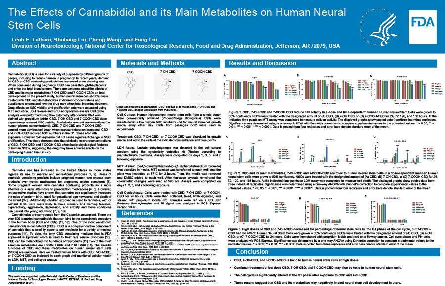 The effects of cannabidiol and its main metabolites on human neural stem cells
