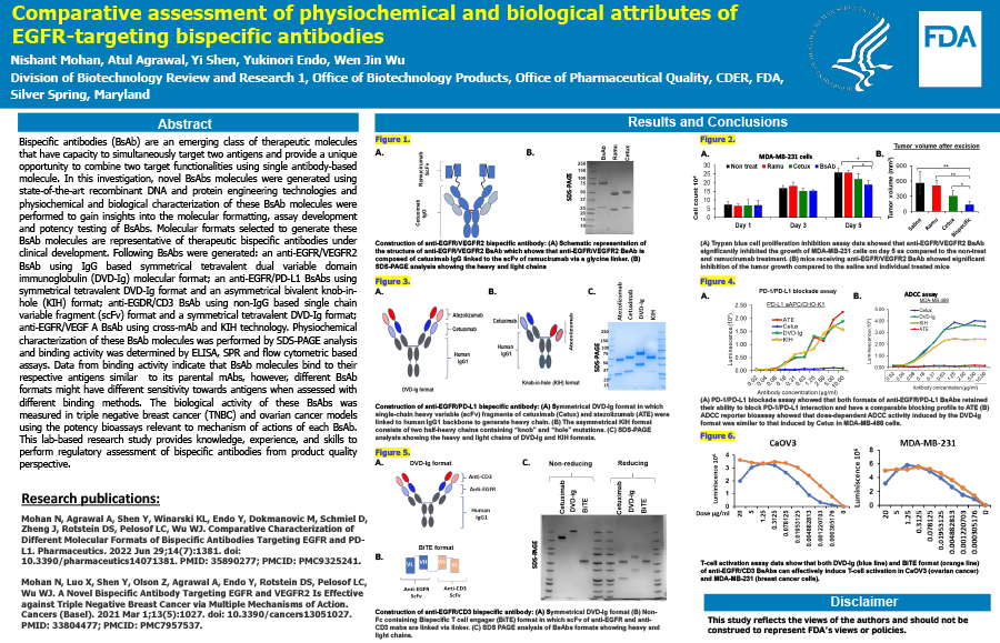 Comparative assessment of physiochemical and biological attributes of EGFR-targeting bispecific antibodies 