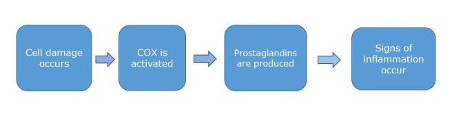 Galliprant Dosing Chart