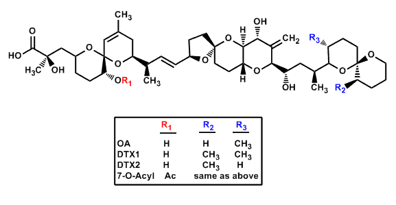 Okadaic Acid and Dinophysis Toxins: Chemical Structures