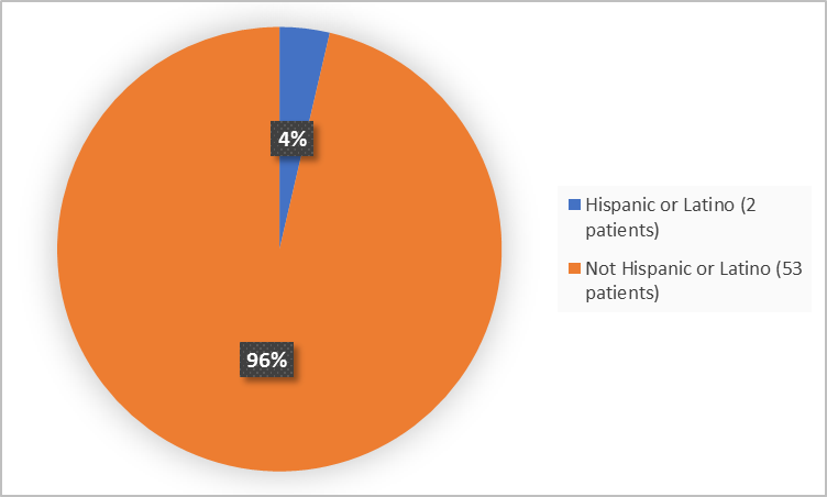 Pie chart summarizing how many individuals of certain ethnicity groups were in the clinical trial.  In total, 2 patients were Hispanic or Latino (4%) and 53 patients were not Hispanic or Latino (96%).