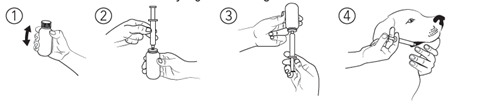 Graphic shows how to draw up and administer medication as described in steps 1 through 4 of the dosage and administration section
