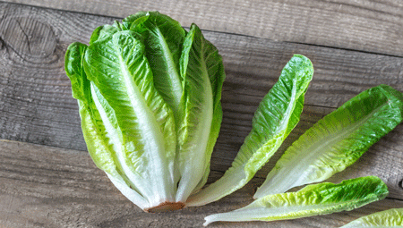 Romaine