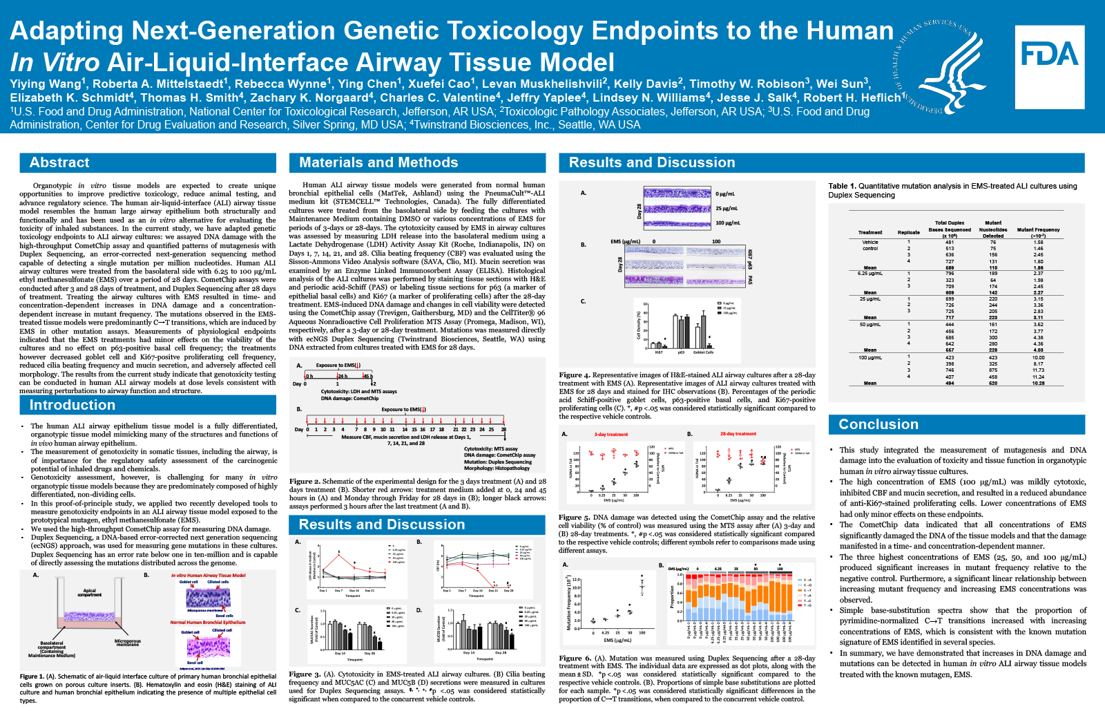 Preview image of the scientific poster. For more information, please refer to the abstract or download the PDF version of the poster.