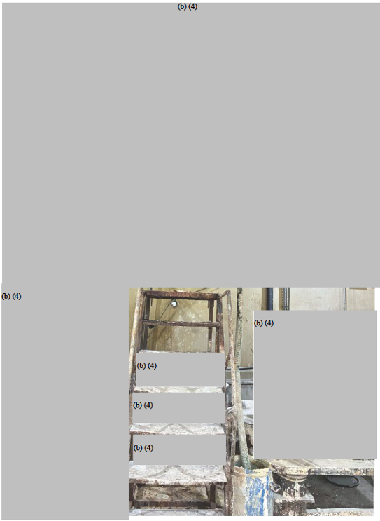 (b)(4) Picture
