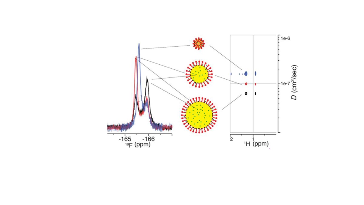 Figure 2. The synchronized microstructural changes of difluprednate nanoemulsion (NE) formulation upon surfactant addition or mechanic perturbation. The difluprednate drug (green dots) phase distribution change is reflected in 19F NMR spectra (left). The oil globule size change is reflected in 2D 1H DOSY NMR spectra (right). Oil globules of nano-emulsion (NE, yellow) and micro-emulsion (ME, orange) or swollen-micelle are illustrated (middle). (The figure is from the graphical abstract of Wang et al. 2024).