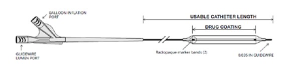 The SurVeil Drug-Coated Balloon and delivery catheter with labeled components.