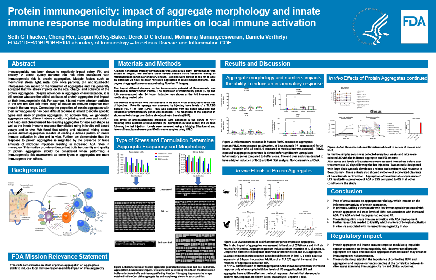 Protein immunogenicity: impact of aggregate morphology and innate immune response modulating impurities on local immune activation