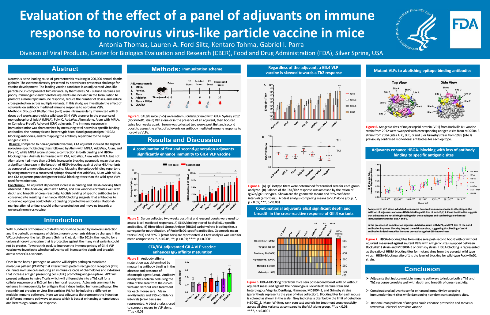 Poster: Evaluation of the Effect of a Panel of Adjuvants on Immune Response to Norovirus Virus-Like Particle Vaccine in Mice 