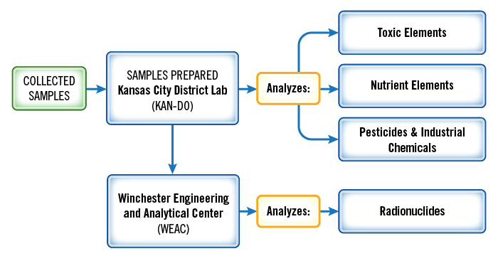 Total Diet Study: Flow diagram showing where samples are prepared and analyzed