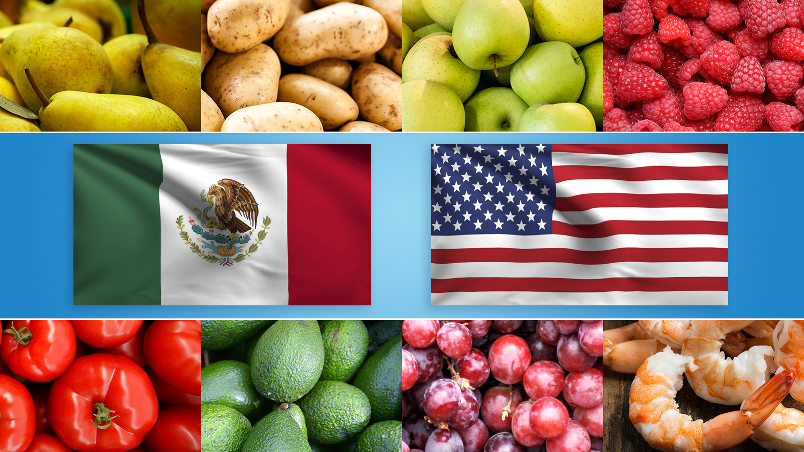 FDA's Partnership with Mexico's Regulators Strengthens Food Safety  Protections | FDA
