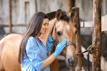 A woman wearing veterinary scrubs petting a horse.