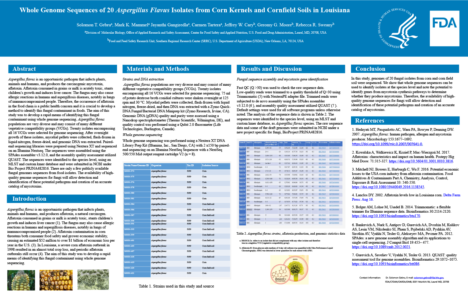 Preview image of the scientific poster. For more information, please refer to the abstract or download the PDF version of the poster. 