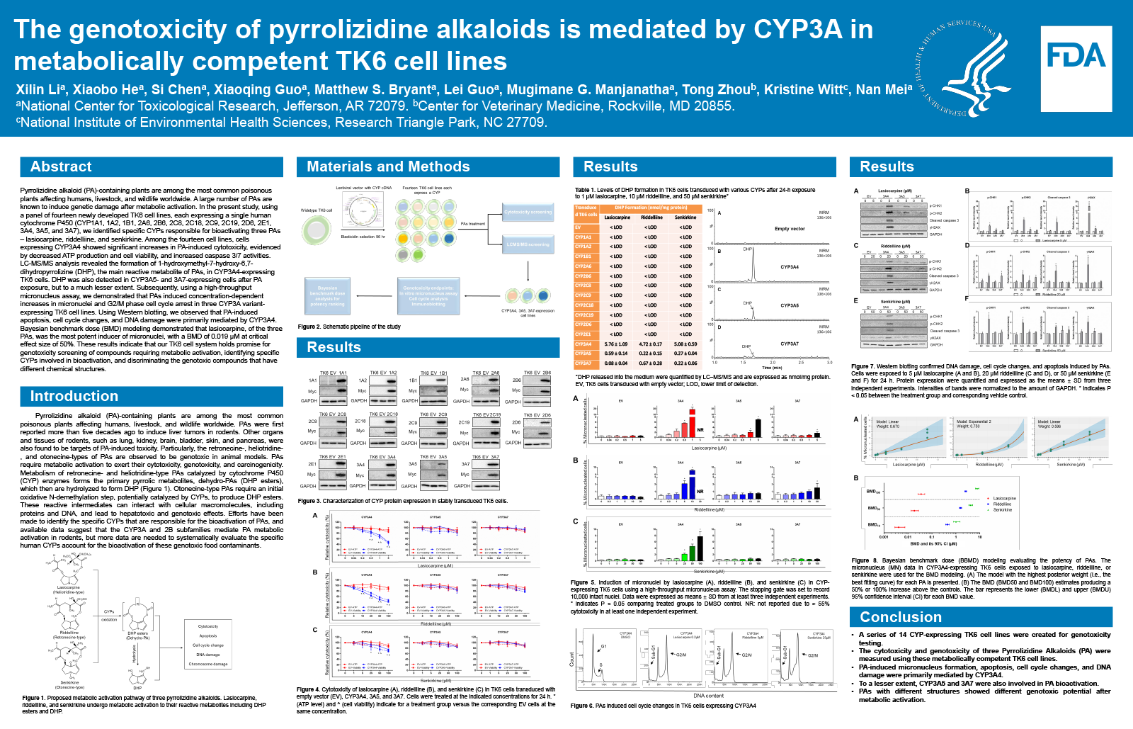 Preview image of the scientific poster. For more information, please refer to the abstract or download the PDF version of the poster