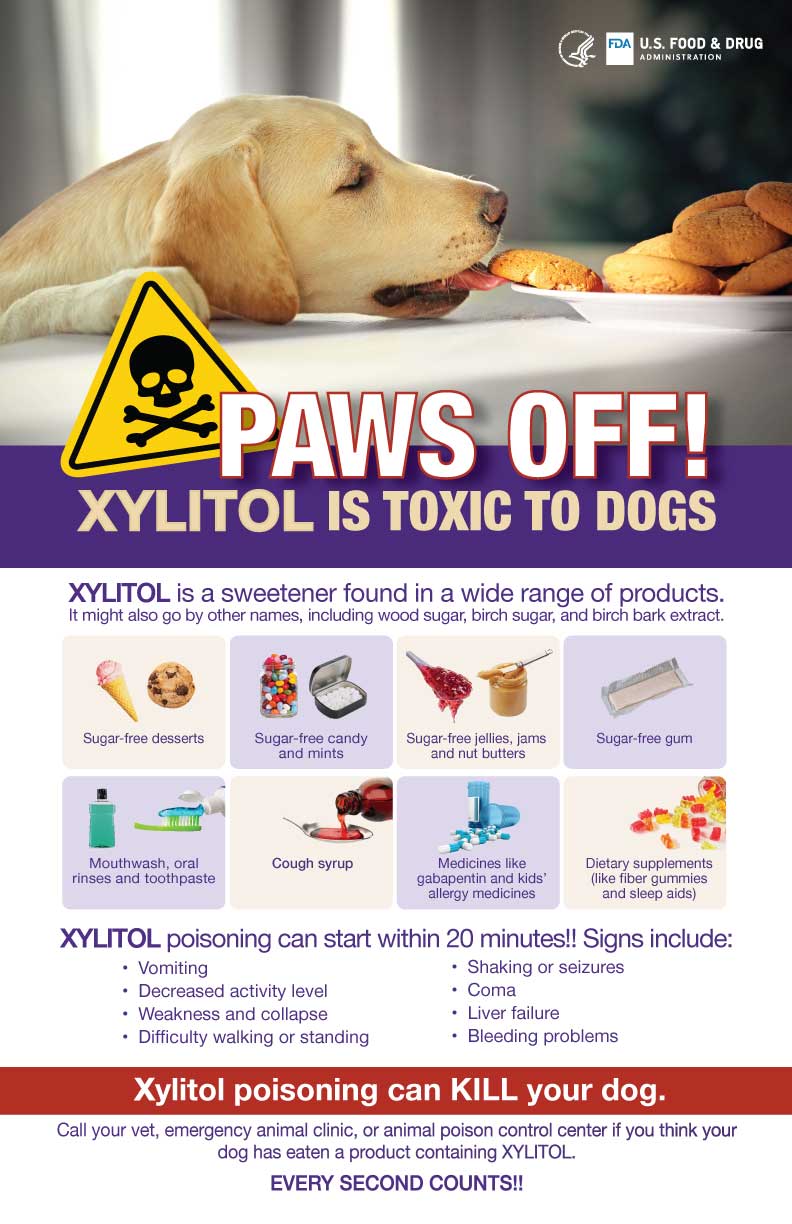 toothpaste toxic to dogs