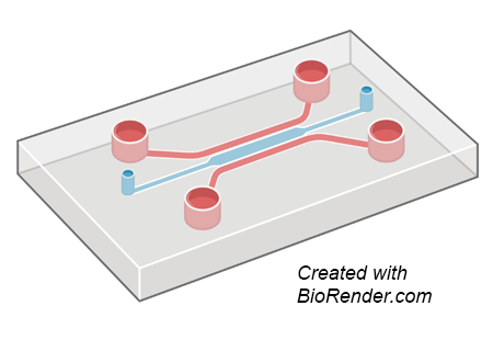 Illustration of an organ-on-chip (created with BioRender.com)