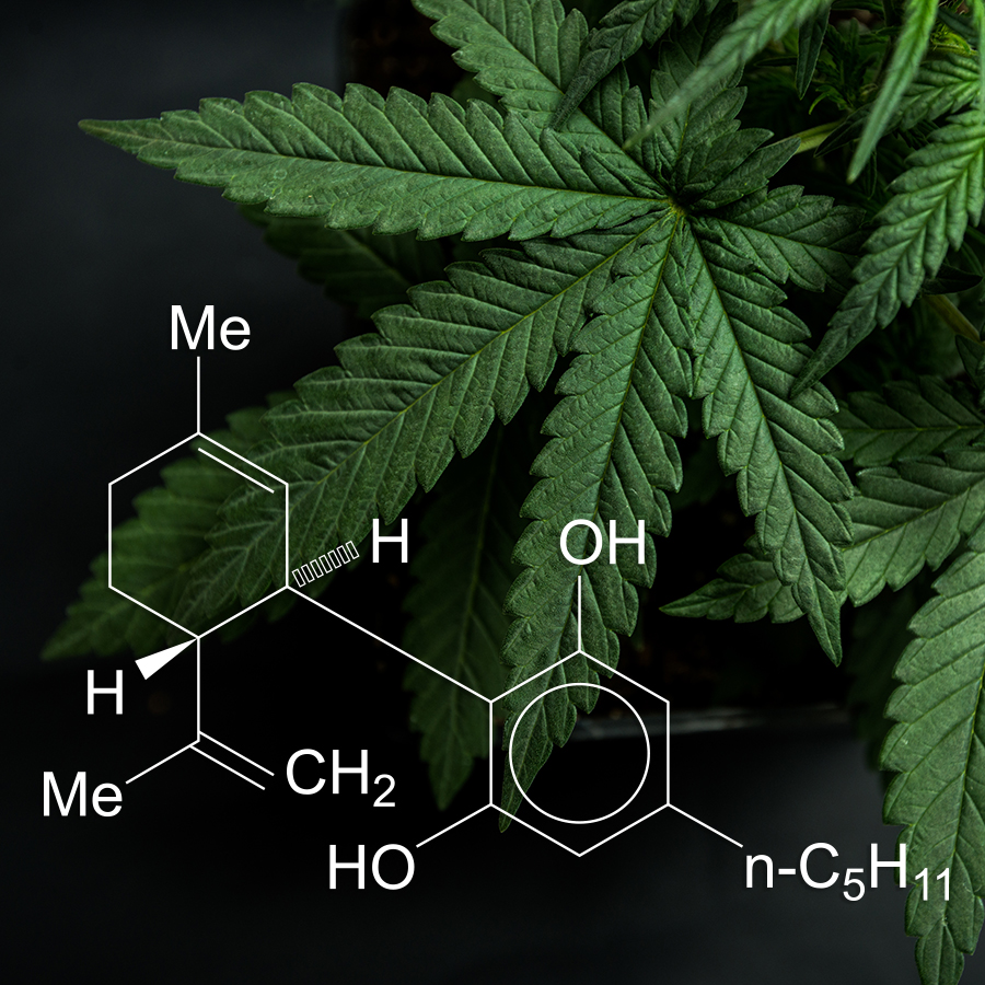 Lo que necesita saber (y lo que estamos intentando averiguar) sobre los  productos que contienen cannabis o compuestos derivados de él, incluyendo  el CDB