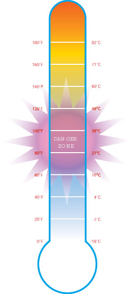 Fda Food Temperature Chart