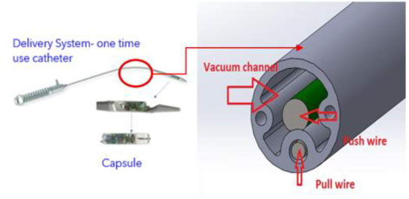 Delivery System - one time use catheter
