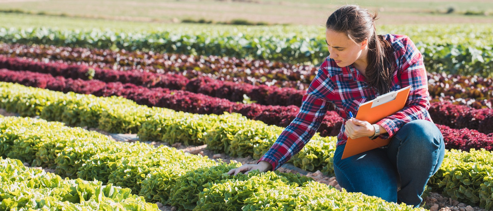 FDA Food Safety Modernization Act (FSMA) 