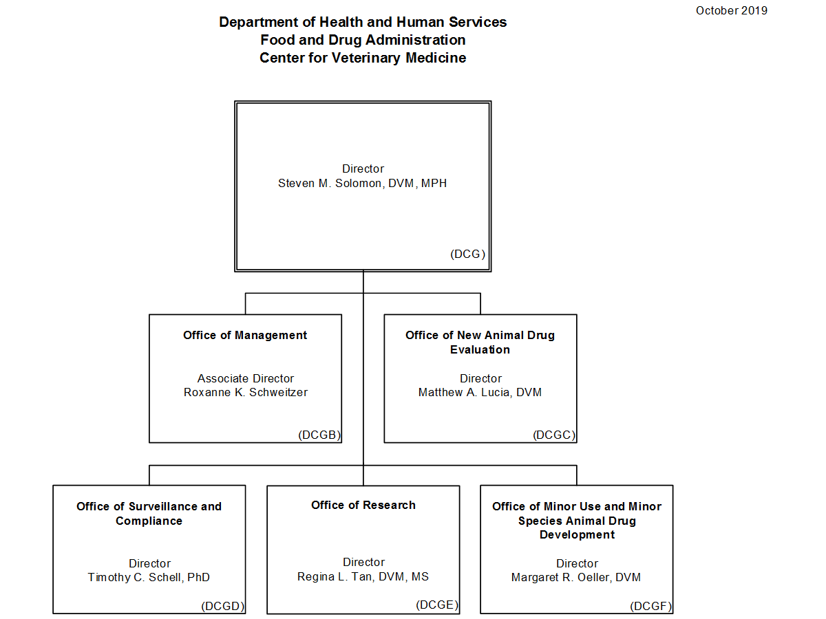 Veterinary Organizational Chart