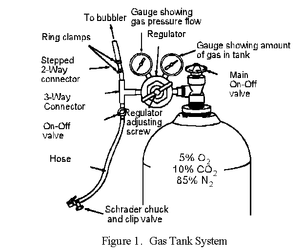 Figure 1. Gas Tank System