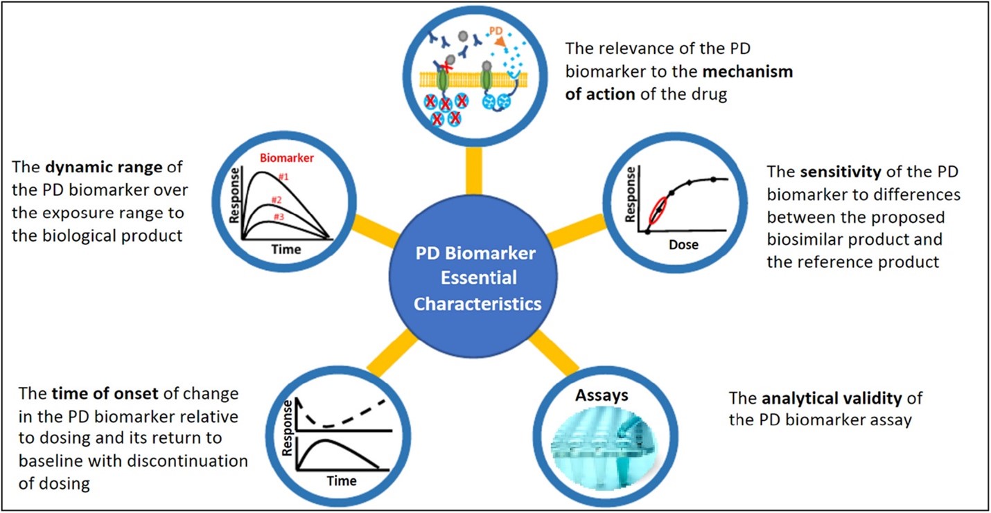 Figure 1: Five essential characteristics of a PD biomarker for biosimilars.
