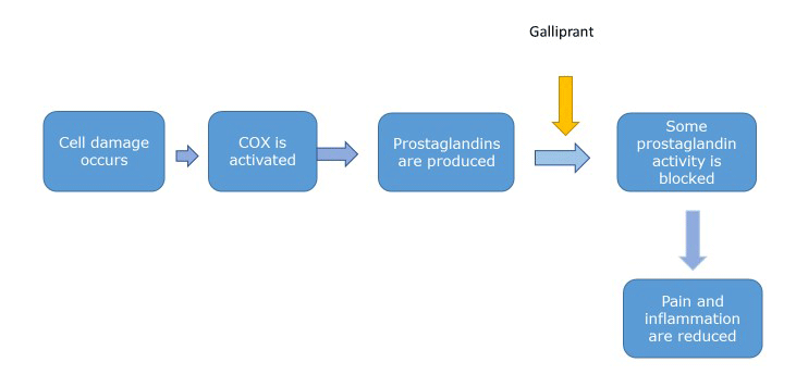 Galliprant Dosing Chart