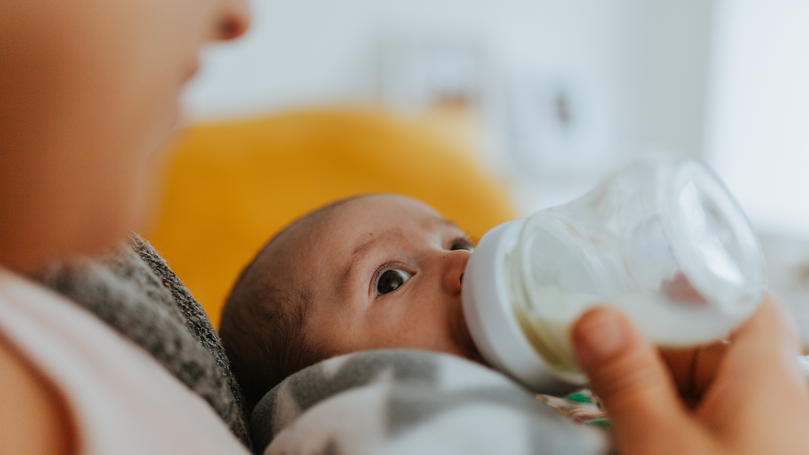 Infant Formula Homepage Main Image