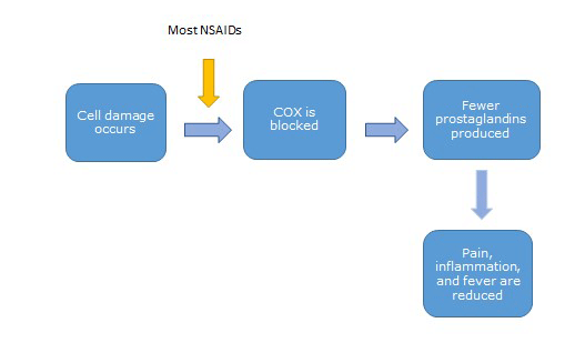 Schematic showing that most NSAIDs work by blocking COX, so the cells produce fewer prostaglandins. Pain, inflammation, and fever are reduced. 