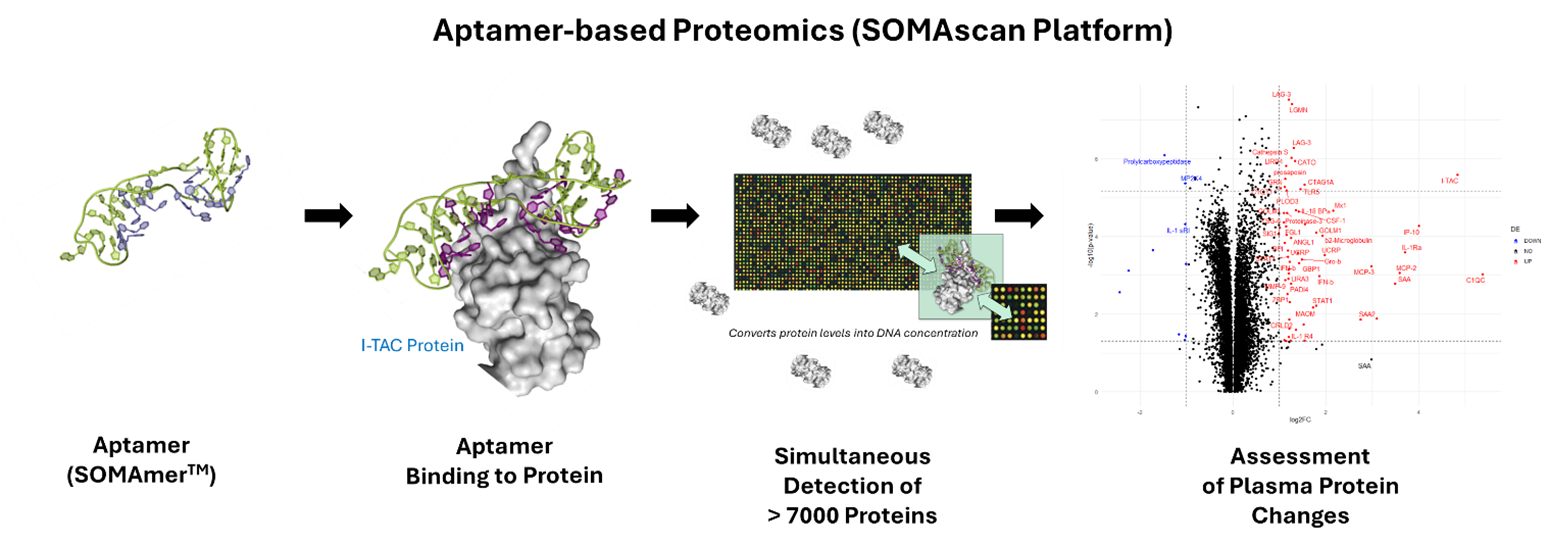 Figure 1. Aptamer-based Proteomics (SOMAscan Platform): Text details in caption. 