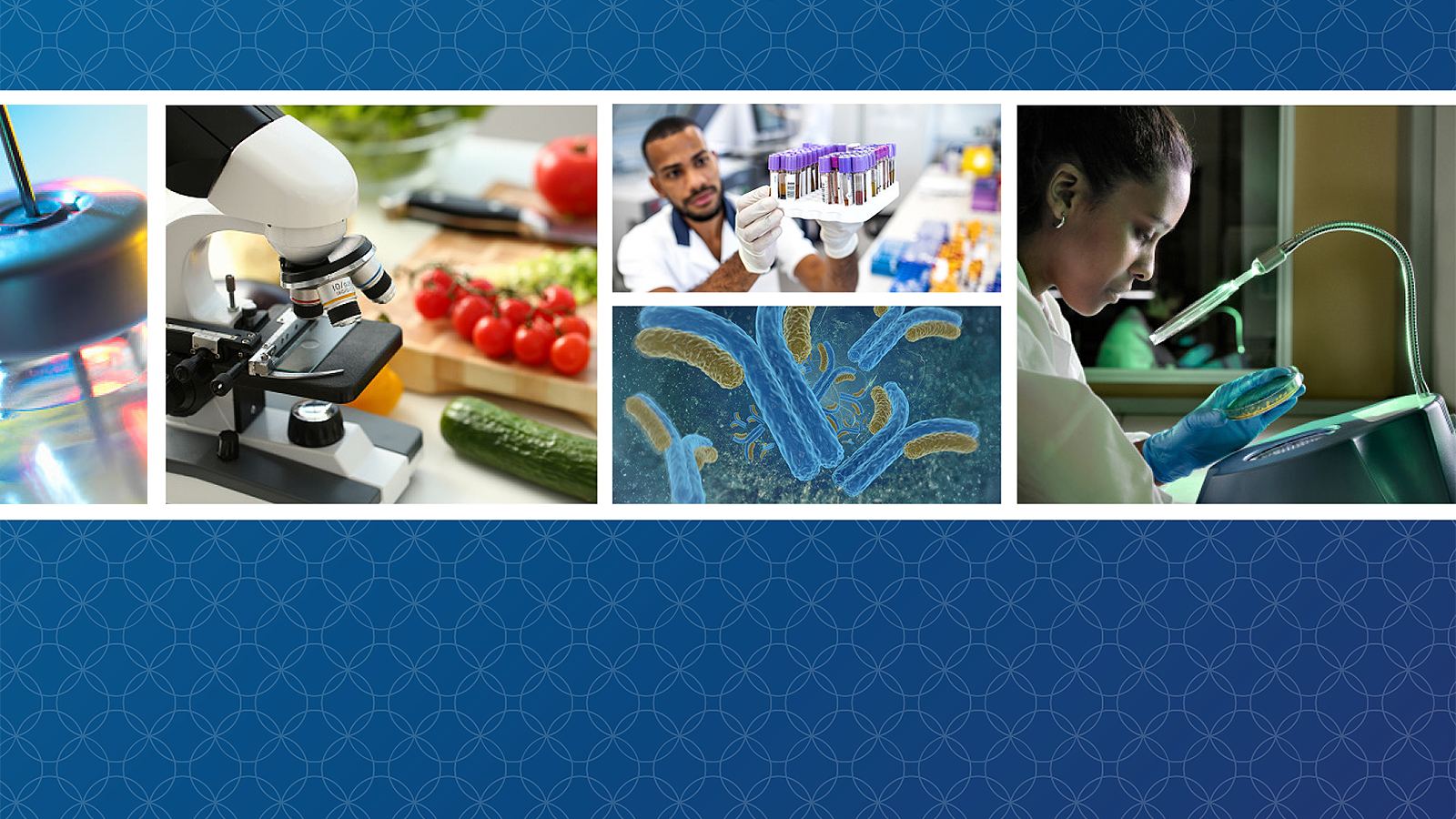 A collage of photos showing a vaccine vial, a microscope in front of fresh vegetables, a scientist holding test tubes in a laboratory, a digital illustration of antibodies, and a biotechnologist checking for bacteria in a food sample landscape.