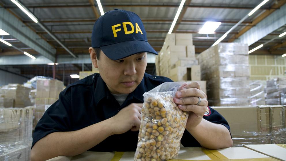 An FDA field inspector checks imported ginko nuts for contaminants