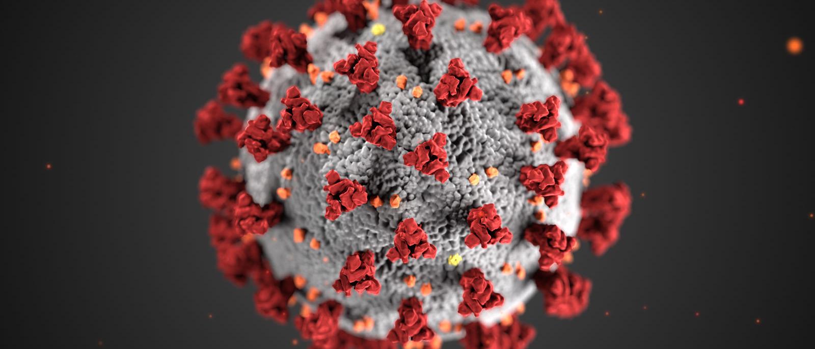 Ce este un virus? | Științologie | Sorin Badea | Radio Guerrilla