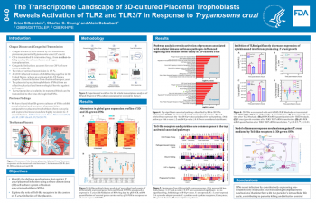 Poster Image-The Transcriptome Landscape of 3D-cultured Placental Trophoblasts Reveals Activation of TLR2 and TLR3/7 in Response to Trypanosoma cruzi
