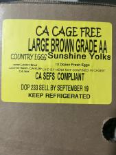 Country Eggs-Aug 2025-1