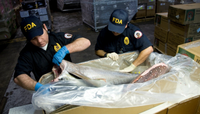 Photo showing two FDA staff during a fish inspection