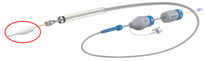Pulmonary Valve Catheter