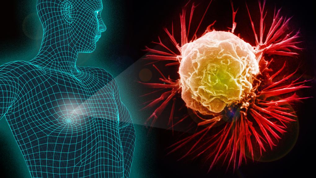 Sustancias cancerígenas en el medio ambiente