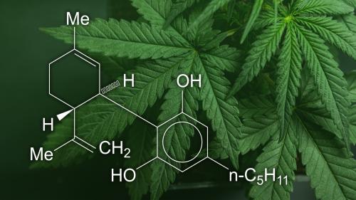 benefits of cbd