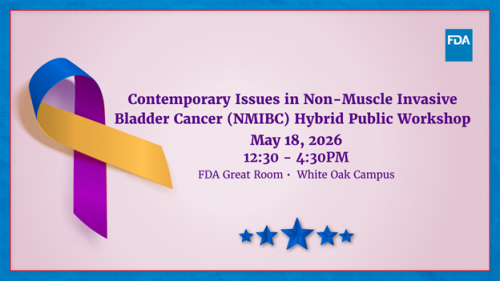Contemporary Issues in Non-Muscle Invasive Bladder Cancer (NMIBC) Hybrid Public Workshop