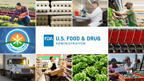 FDA logo surrounded by ten images: woman with clipboard checking lettuce in a field, egg cartons on grocery store shelf, FDA scientist checking food samples in laboratory, grocery store employee stocking shelves of lettuce, graphic illustration of dining utencils, grocery store shopping carts, delivery truck, grocery store employee stocking shelves of packaged food, lettuce in a field, FDA inspector and state health inspector checking harvested clams on a dock 