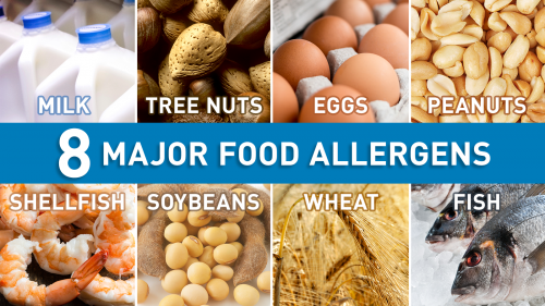 photos of 8 major food allergens: milk, tree nuts, eggs, peanuts, shellfish, soybeans, wheat, and fish