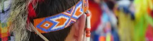 FDA Tribal Affairs Banner 2